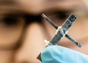 Учены создали первый в мире деревянный транзистор – он работает на частоте 1 Гц