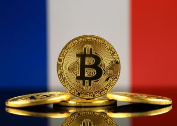 Исследование показало, что каждый десятый француз владеет криптовалютой. Растет ли внедрение?