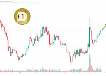 Прогноз цены Dogecoin при достижении объема торгов в 1,5 миллиарда долларов — киты покупают?