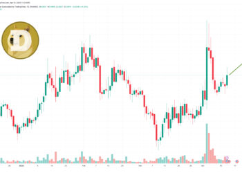 Прогноз цены Dogecoin: твит Илона Маска вызывал рост DOGE, но все внимание приковано к этой новой криптовалюте