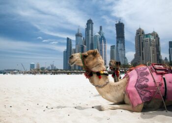 Регулятор по ценным бумагам в ОАЭ начал принимать заявки на получение лицензии от криптофирм – появится ли новый криптоцентр?