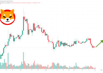 Прогноз цен Shiba Inu при достижении объема торгов в 100 миллионов долларов – киты покупают?