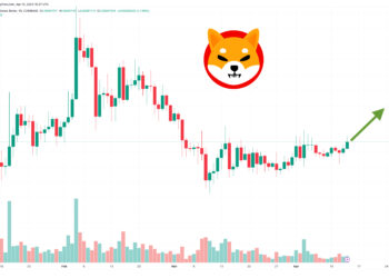 Прогноз цены Shiba Inu: Илон Маск планирует добавить крипто-трейдинг в Twitter