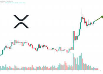 Прогноз цены XRP: XRP вырос на 3%, но киты копят другой малоизвестный альткоин