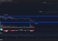 Какую криптовалюту купить сегодня: обзор XRP и SNORT