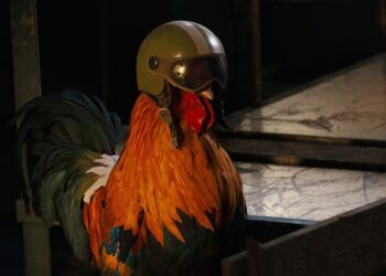 Фанатский сайт ARC Raiders назначает награды за убийство токсичных игроков и стримеров