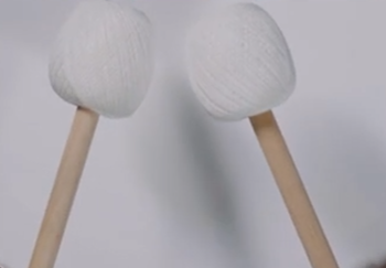 Нелегальные букмекеры из Брянска выпустят свой смартфон