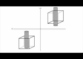 Сознание — атавизм
