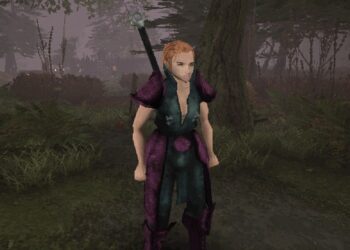 Разработчик-одиночка создает масштабную ролевую игру с открытым миром в духе Gothic и Berserk – проект собрал $255 тысяч на Kickstarter за считанные часы