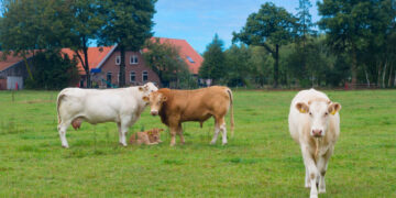 Фермер в США отказался от более $15 млн, чтобы на его земле не построили дата-центр