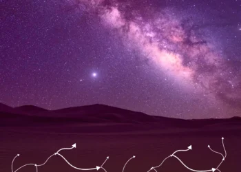 Илон Маск отложил колонизацию Марса ради создания города на Луне