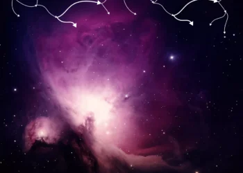 SpaceX объединилась с xAI в компанию стоимостью $1,25 трлн