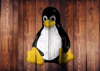 Linux выведут из-под калифорнийского закона о верификации возраста: SteamOS под вопросом