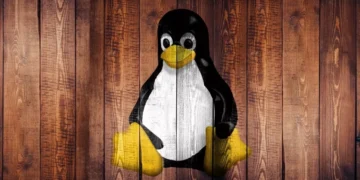 Linux выведут из-под калифорнийского закона о верификации возраста: SteamOS под вопросом